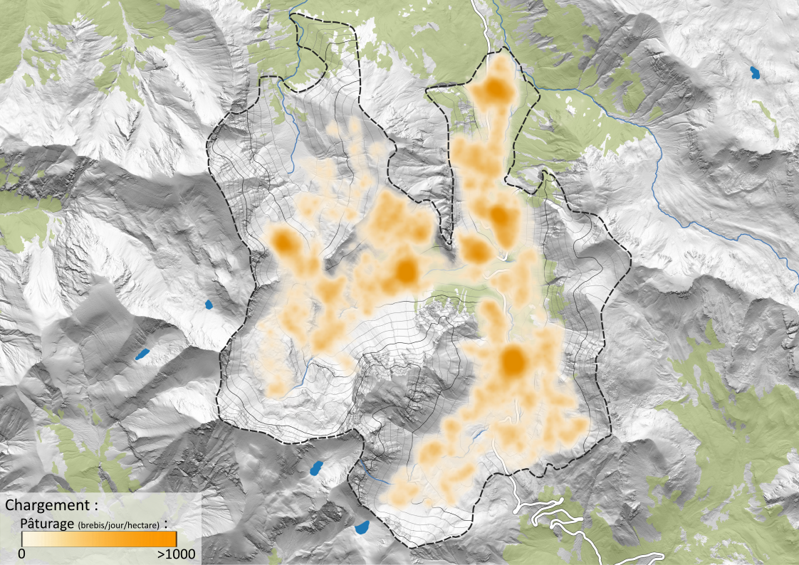 Chargement pâturage