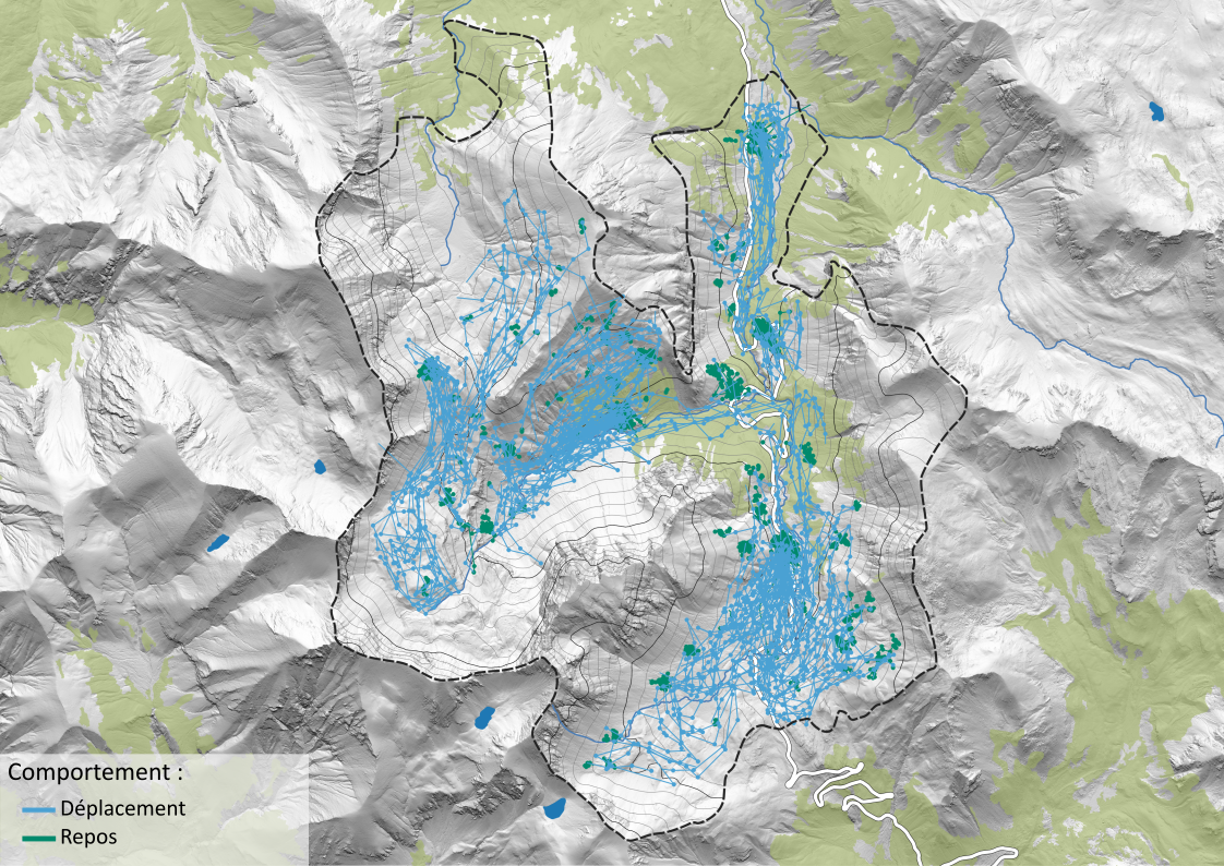 Trajectoires déplacement