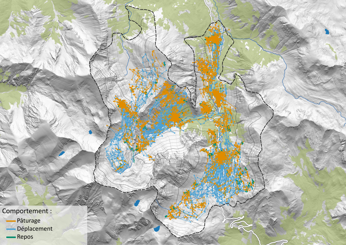 Trajectoires pâturage